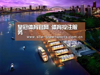 案例展示八