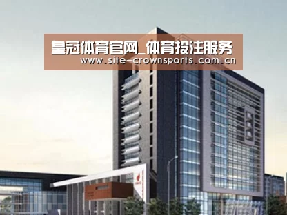 案例展示七