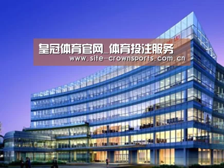 案例展示五