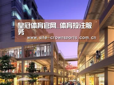 案例展示一