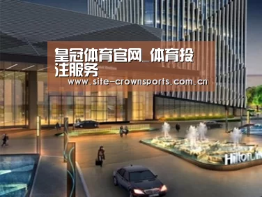 案例展示二