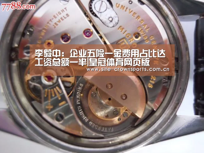 李毅中:企业五险一金费用占比达工资总额一半|皇冠体育网页版(图3) 皇冠体育app