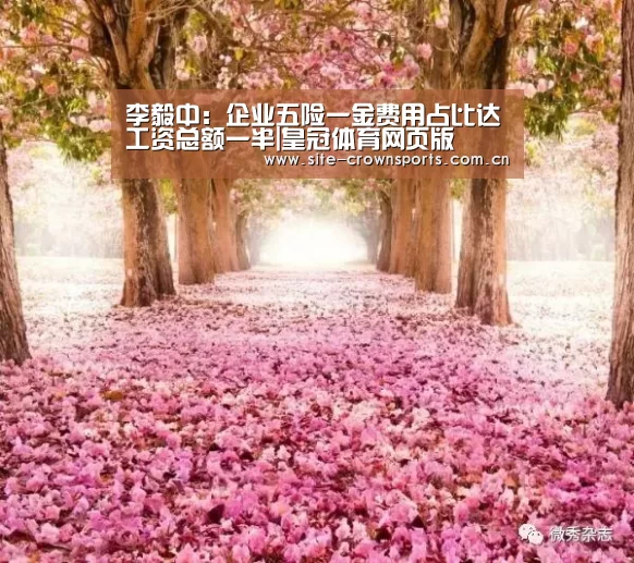 李毅中:企业五险一金费用占比达工资总额一半|皇冠体育网页版(图2) 皇冠体育网址