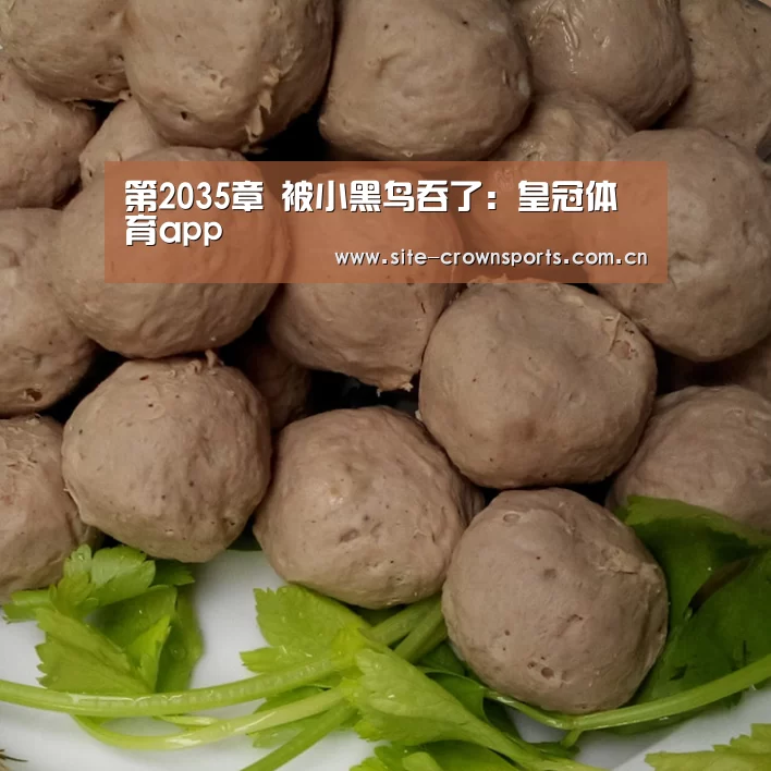 第2035章 被小黑鸟吞了:皇冠体育app(图4) 皇冠体育网页版
