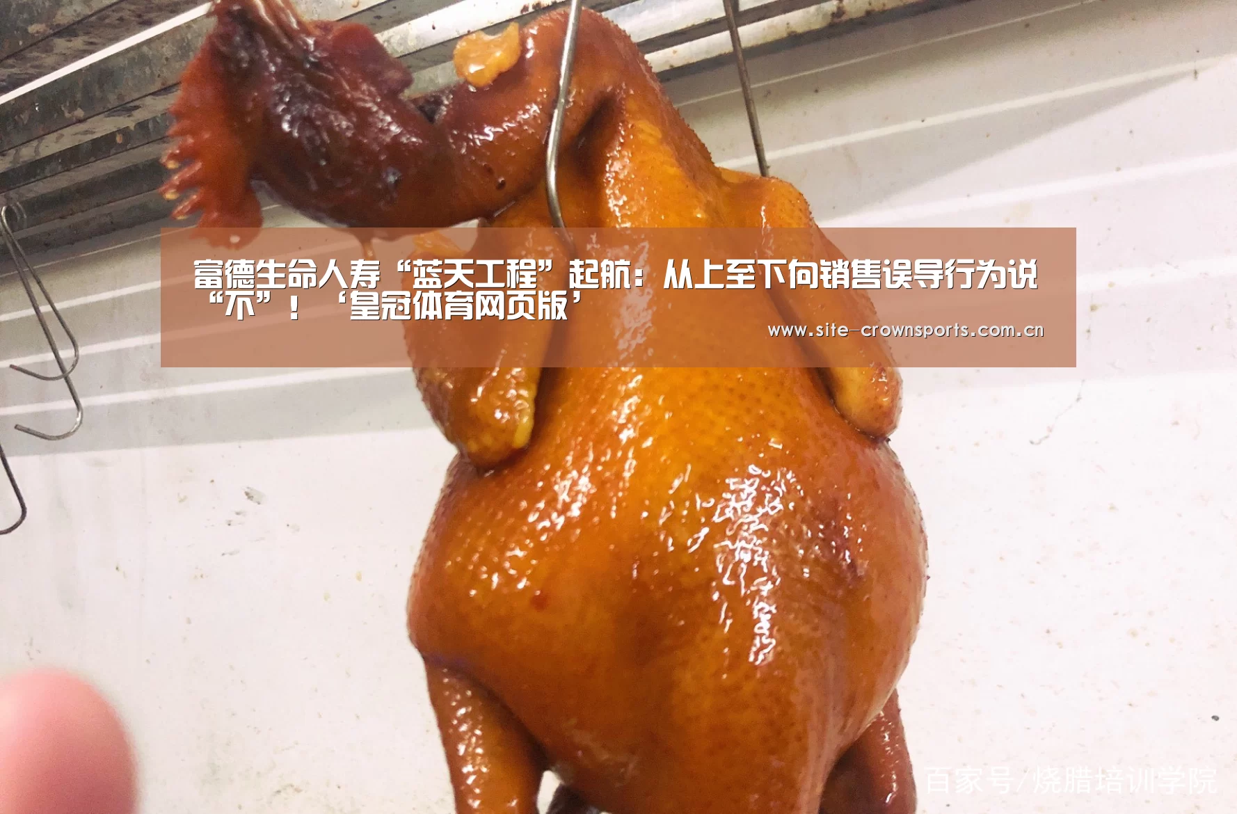 富德生命人寿“蓝天工程”起航:从上至下向销售误导行为说“不”!‘皇冠体育网页版’(图1) 皇冠体育app